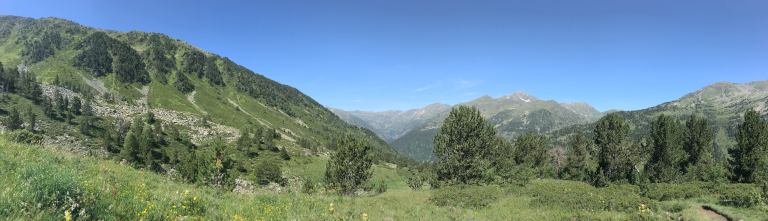 37925792_10155892179426743_6855248226572828672_n