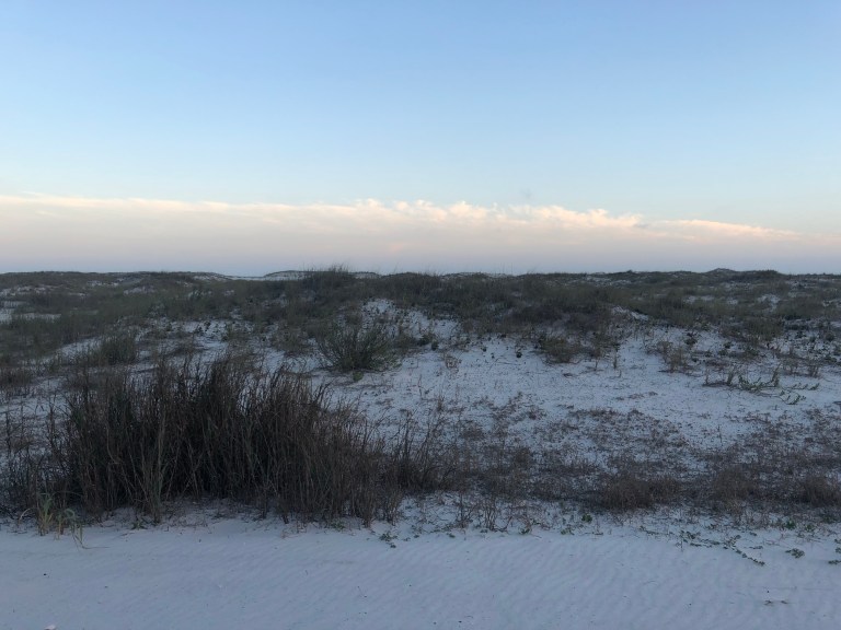 0pm2SfCfTeSHS8DIIKx2iQ