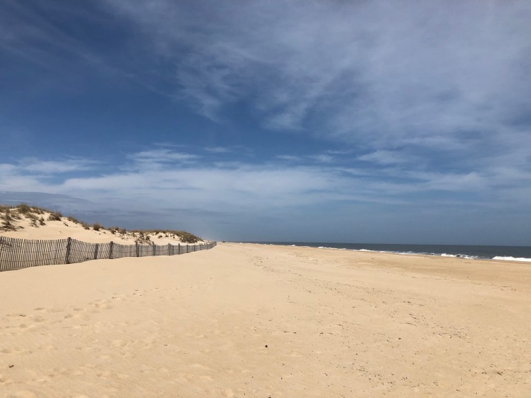 6UeLco0cSe62wFEZac8UZA