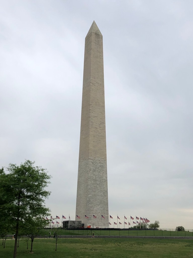 CPq8GfvzQLesSFNRU0zX0g