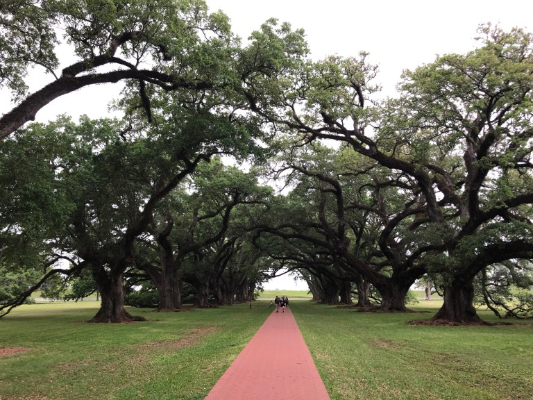 h3oQIityTtyQiBPB+nALeQ