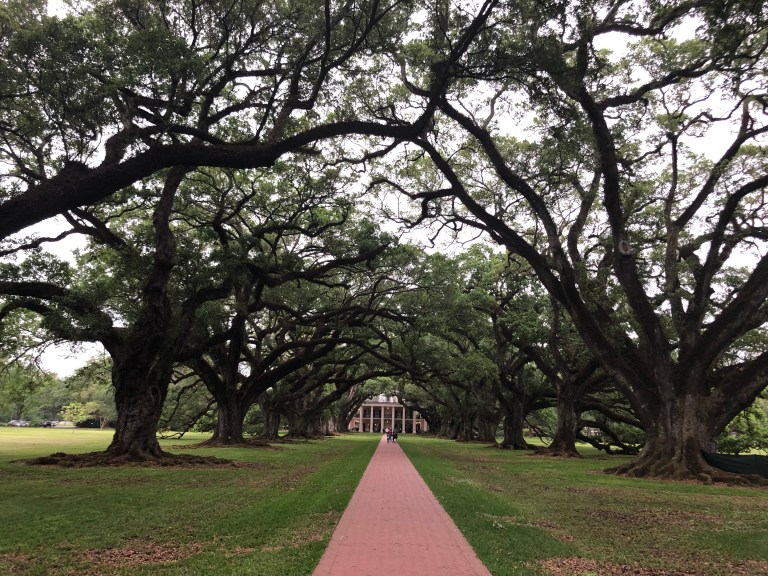 MysdYkF5Rcyg3BR5PSyJ0A