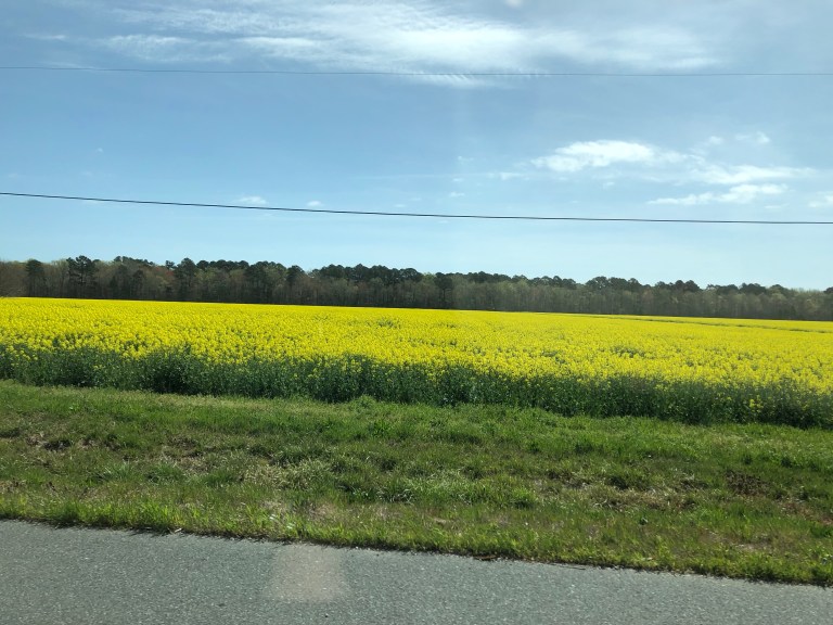 wqCKmc%xSY+cwdmjxF8mEg